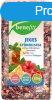Benefitt Tea Jeges Gymlcstea 100G