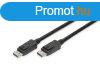 Assmann DisplayPort connection cable, DP 1m Black