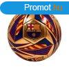 FC Barcelona focilabda Pitch arany