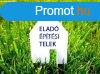 Elad telek, Vl