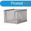 Fmhls kockatmbtart Fornax, ezst
