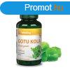 Vitaking Gotu Kola kivonat 2000mg 60 kapszula
