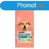 Dog Chow Light Pulykval 14kg