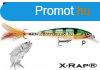 Rapala Xr10 X-Rap 10Cm 13G Wobbler - P Sznben