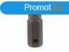 Genius torx (kls) bit, T-80, 60mm