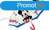 Disney Mickey gyerek flautomata tltsz eserny