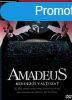 Milos Forman - Amadeus - DVD (1 lemezes vltozat)