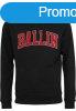 Mr. Tee Ballin 23 Hoody black