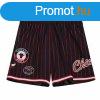 Mitchell & Ness shorts Chicago Bulls City Collection Mes