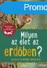 Holger Haag - Milyen az let az erdben?