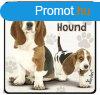 Kutys htmgnes, Basset Hound