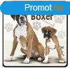 Kutys htmgnes, Boxer