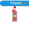 WC tisztt gl 1 liter Action Gel Force Virg illat