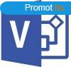 Microsoft Visio Professional 2021 (D87-07606)