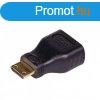 Akyga AK-AD-04 HDMI/miniHDMI Adapter Black