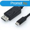 ROLINE kbel USB-C 3.1 - Display Port, M/M, 2m