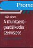 A MUNKAER-GAZDLKODS SZERVEZSE