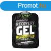 Biotech Recoverygel (60gx24db)