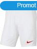 Nike fi sport rvidnadrg