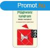 Mgneses tangram
