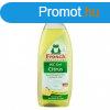 Toalett gl Frosch, citrus, 750 ml, wc