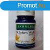 Dammers st.johns wort orbncf kapszula 40 db