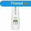 Biolage Sampon s&#xE9;r&#xFC;lt hajra Strength Recov