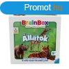 Brainbox - llatok