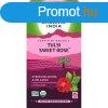 Tulsi SWEET ROSE, filteres bio tea, 25 filter - Organic Indi