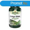 Natures Aid Ginkgo Biloba 120 mg kivonat 90 tabletta