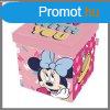 Disney Minnie jtktrol ADX14424WD