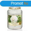 Yankee Candle Illatgyertya Classic Camellia Blossom 623 g - 