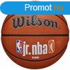 Kosrlabda Wilson JR NBA Fam Logo 5 Kk