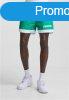 Starter Retro Shorts c.green