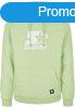 Starter The Classic Logo Hoody jadegreen