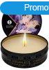 SHUNGA - Mini Caress by Candlelight Exotic Fruits Massage Ca