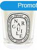 Diptyque Narguil&#xE9; - gyertya 190 g