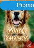 Hzi kedvenceink 2. - Golden retriever