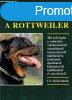 A rottweiler