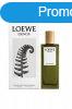 Loewe Esencia - EDP 75 ml