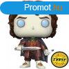 POP! Frodo Baggins (Lord of the Rings) CHASE