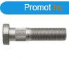 Kerkcsavar 220309FM07 - M22 x 96 mm
