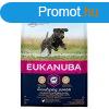 Eukanuba Junior Large kutyatp 3kg