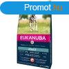 Eukanuba Adult Large Salmon & Barley kutyatp 2,5kg