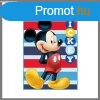 Mickey Egr sznyeg ZTMIC243784