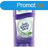 Lady Speed Stick 45g Derma+ Aloe