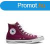 Frfi alkalmi edzk Converse CHUCK TAYLOR ALL STAR M9613C Ge