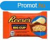 Reeses 36G Big Cups Potato Chips