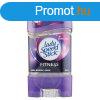 Lady Speed Stick Gl 65g Fitness