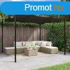 Antracitszrke pergola behzhat tetvel 295 x 292 x 230 cm